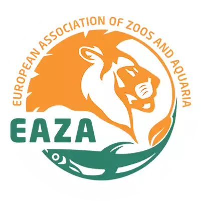 eaza