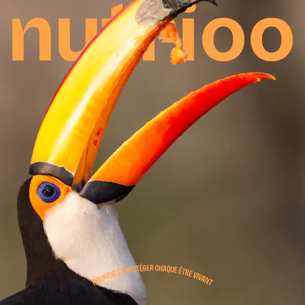 Nourrir des oiseaux