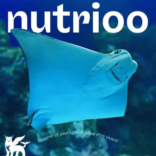 Nourrir un aquarium