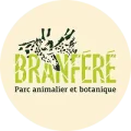 branfere