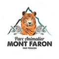 mont_faron